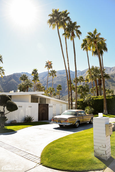 Sunday in Palm Springs