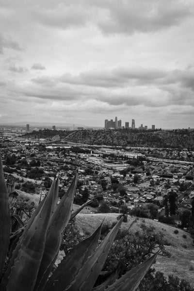 Buenos Dias, Los Angeles